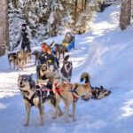 Firefly Holidays Courchevel Dog Sled 600h