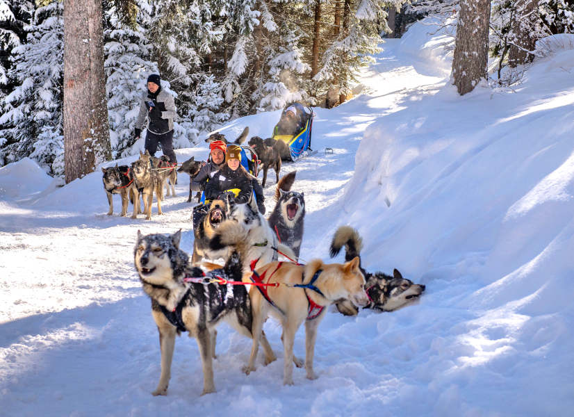 Firefly Holidays Courchevel Dog Sled 600h