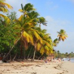 Martinique Grande Anse des Salines