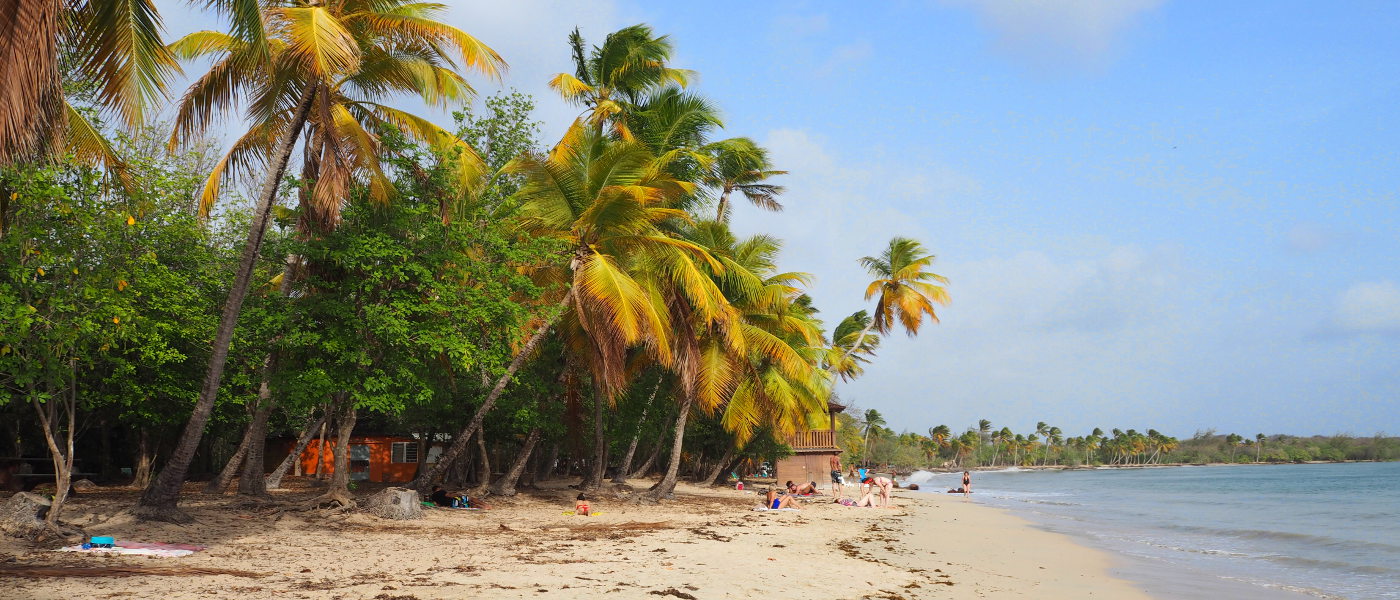 Martinique Grande Anse des Salines