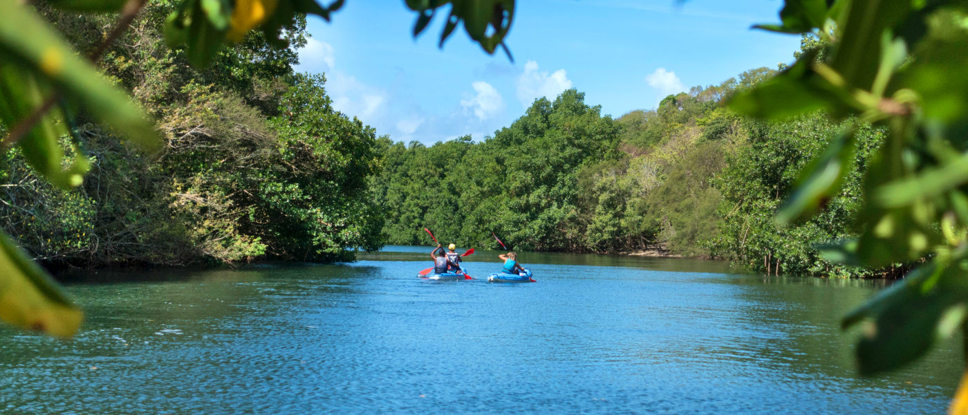Guadeloupe Canoe Safari
