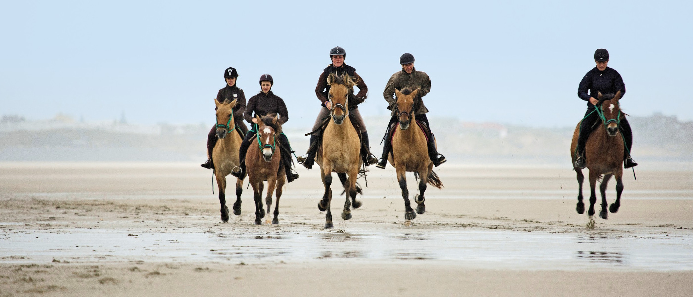 belle dune horse riding