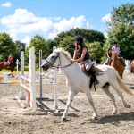 Domaine Des Ormes Equestrian 2 600h