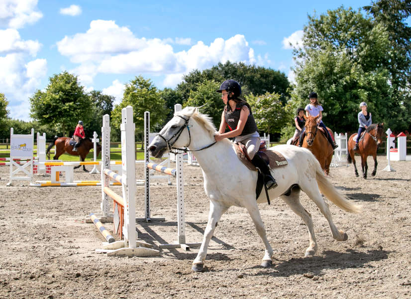 Domaine Des Ormes Equestrian 2 600h