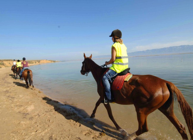 Firefly Holidays Zaton Resort Horses 600h