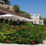 Cala Cristal Gardens