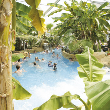 Domaine des Ormes, Indoor Tropical Pool