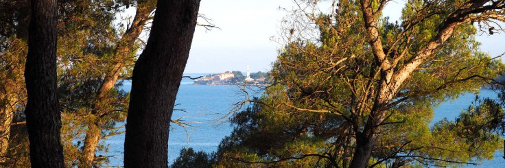 Firefly Holidays Croatia Novigrad Through Trees