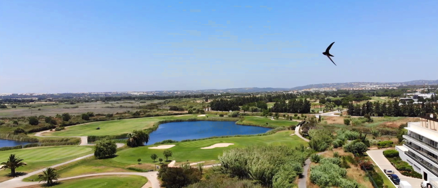 Firefly Holidays Laguna Resort Vilamoura Swift Round of Golf