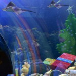 Firefly Holidays Cisano Garda Sealife
