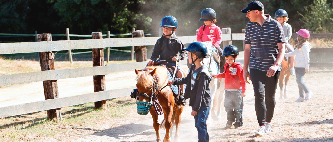 Sequoia Parc Horses 1b