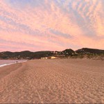 Cypsela Beach 2
