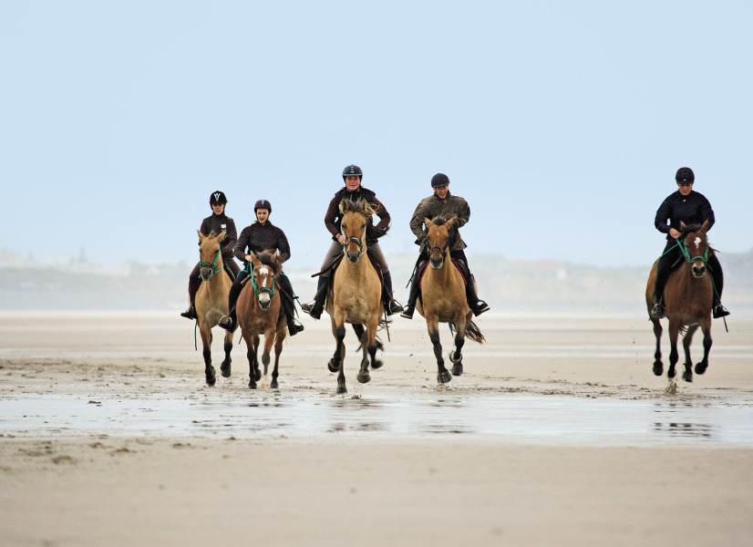 Belle Dune Horse Riding Facebook 826x600